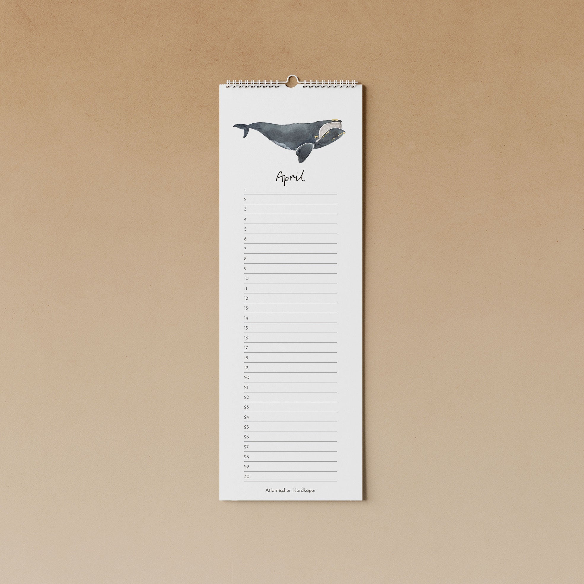 Wale | immerwährender Kalender