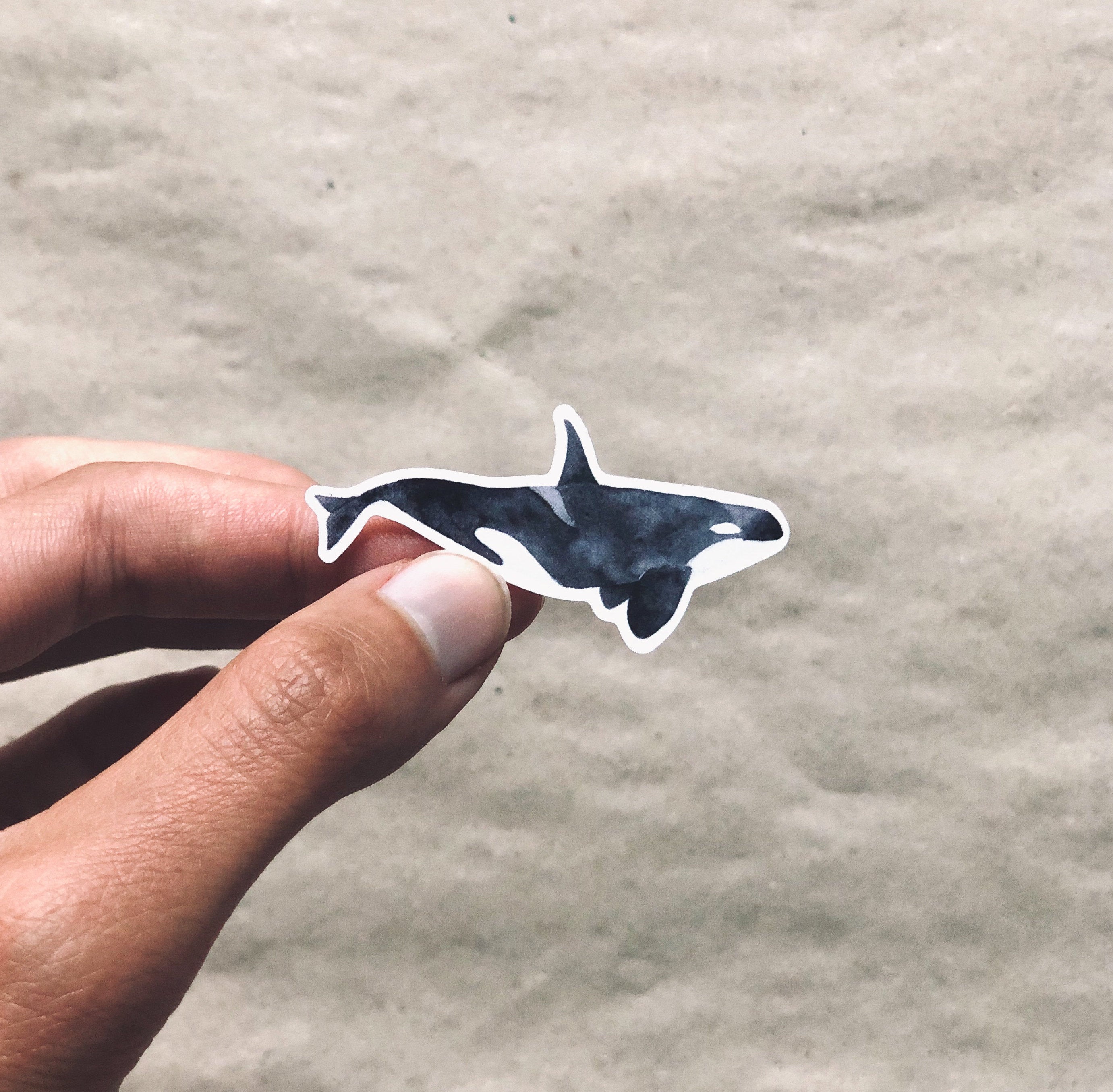 Wal Sticker aus Recyclingpapier / ohne PVC