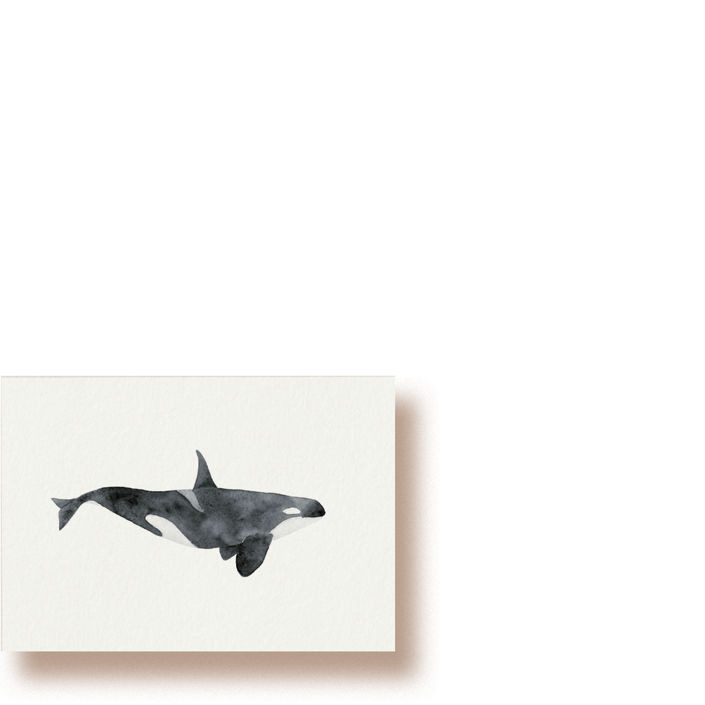 Orca | Minikarte