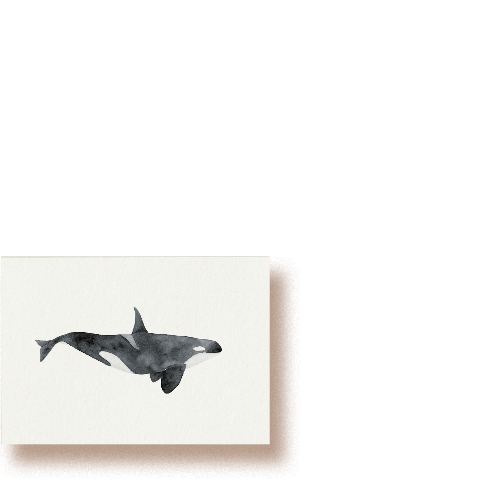 Orca | Minikarte