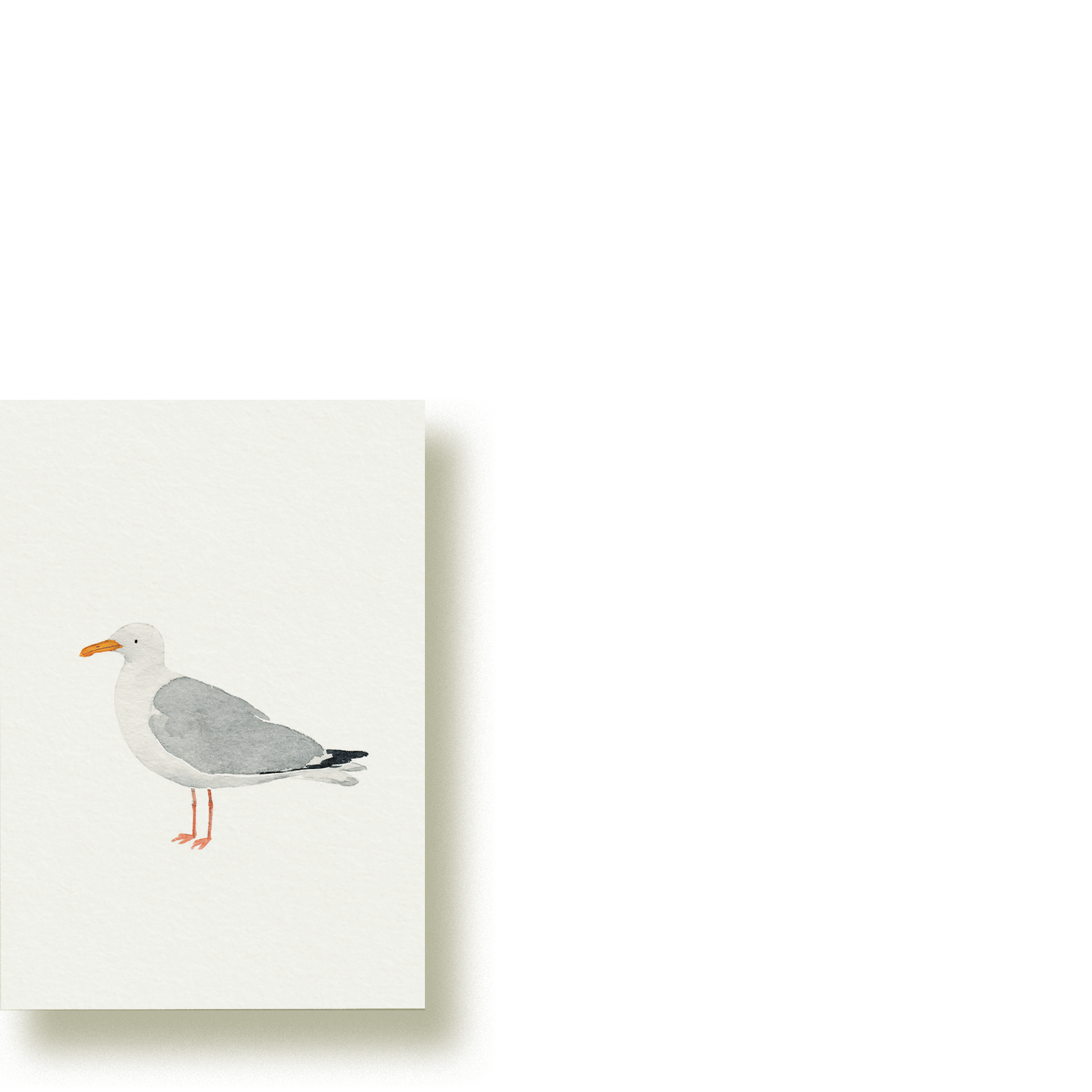 Silbermöwe | Minikarte