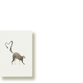 Lemur | Minikarte