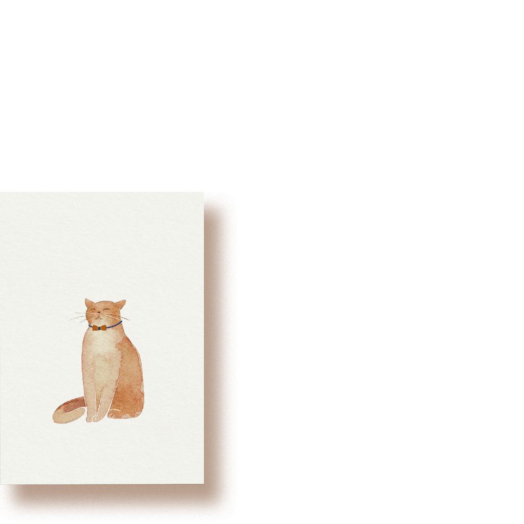 Katze | Minikarte