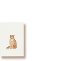 Katze | Minikarte