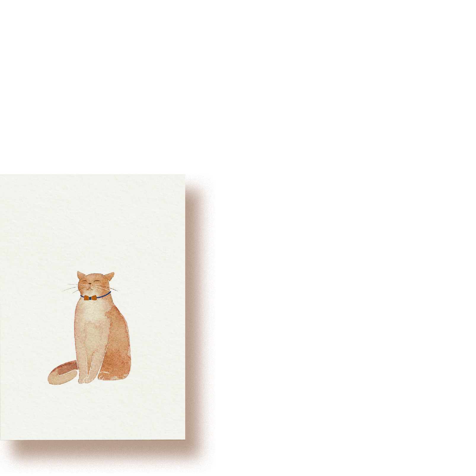 Katze | Minikarte
