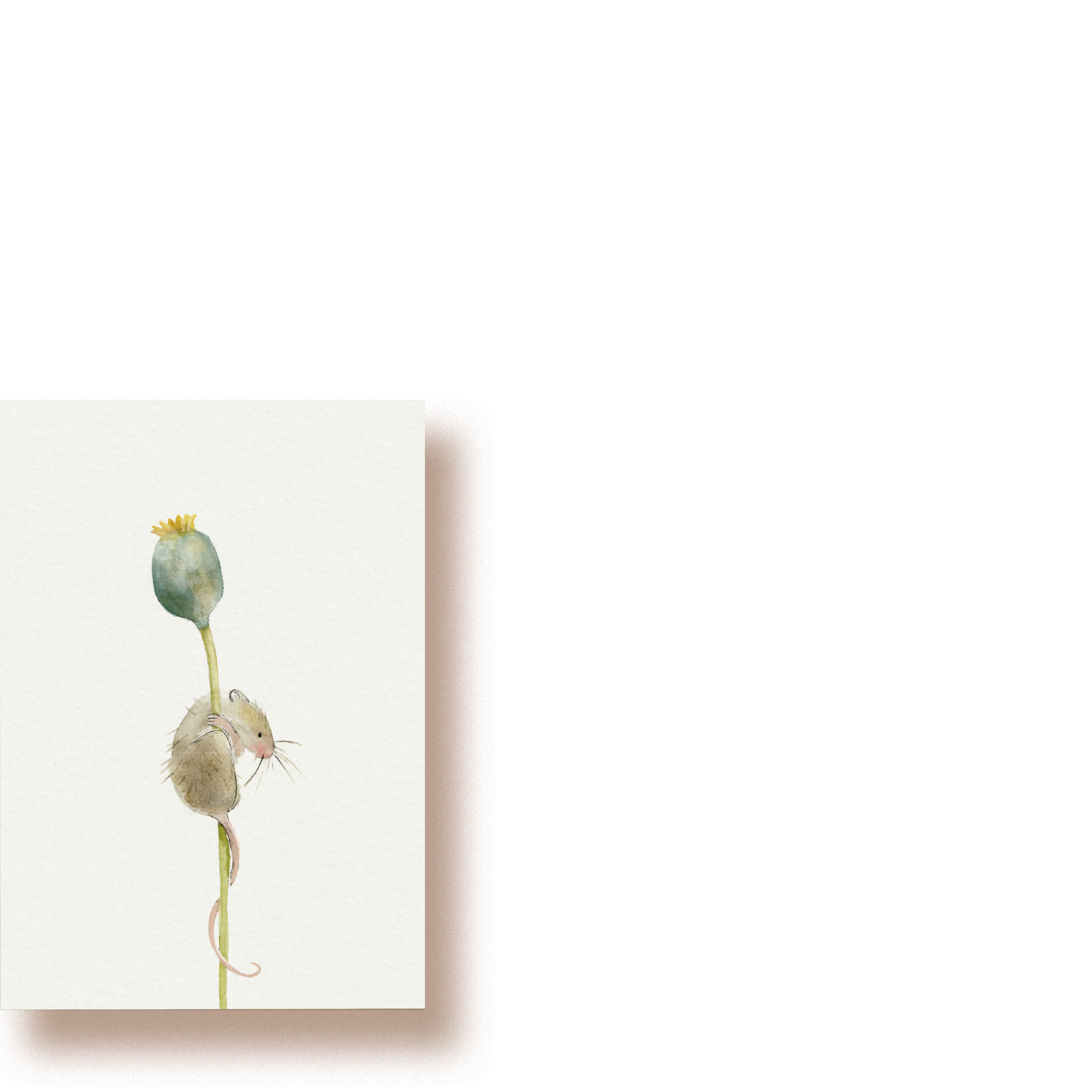 Maus und Mohn | Minikarte