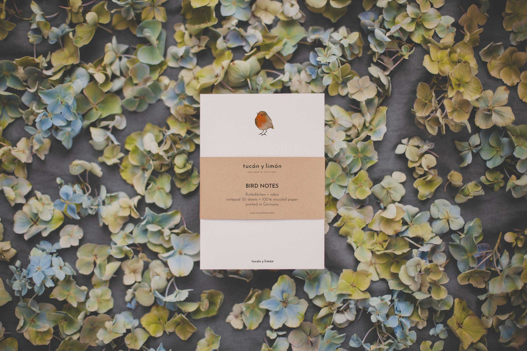 BIRD NOTES Rotkehlchen | Notizblock DINA6