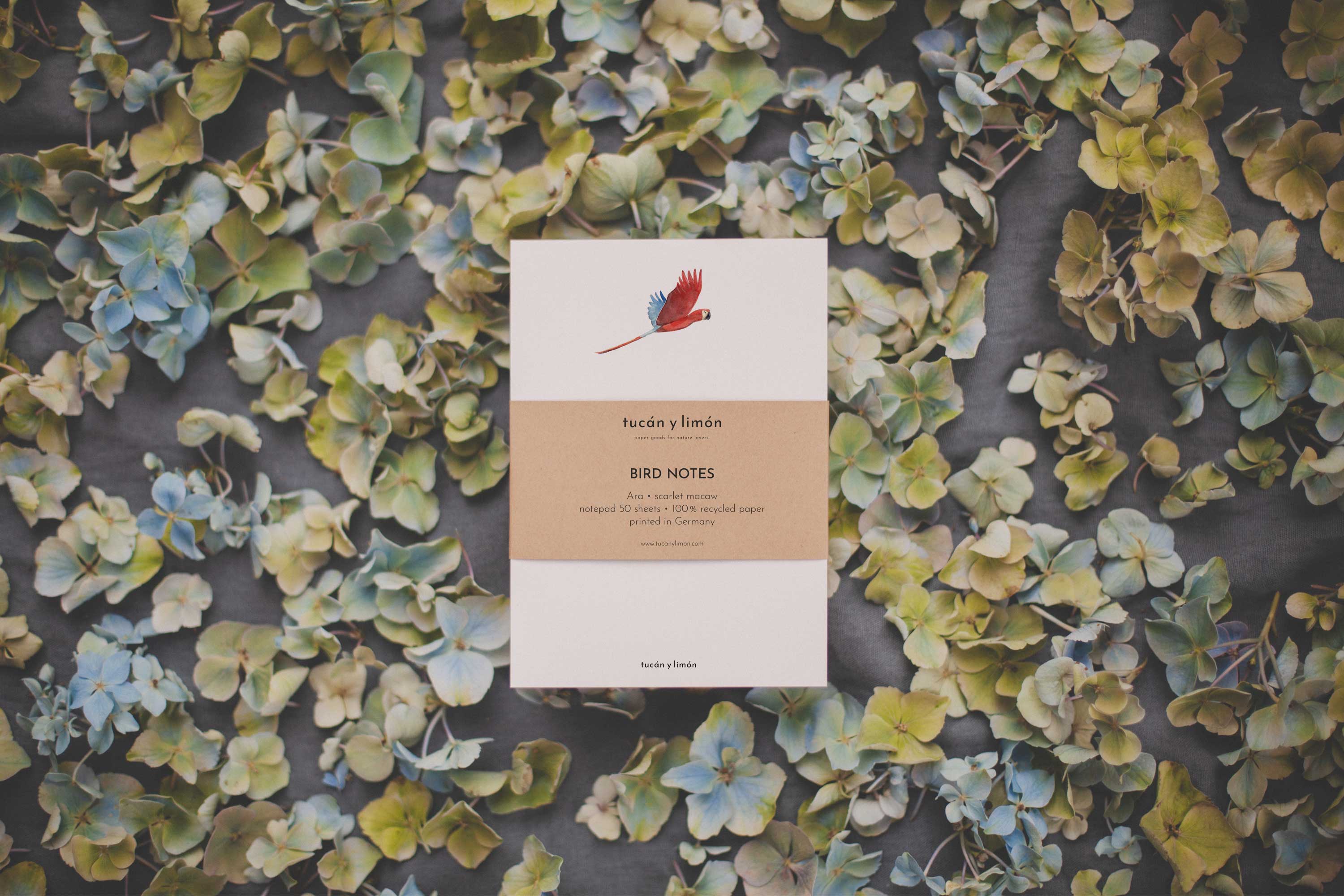 BIRD NOTES Ara | Notizblock DINA6