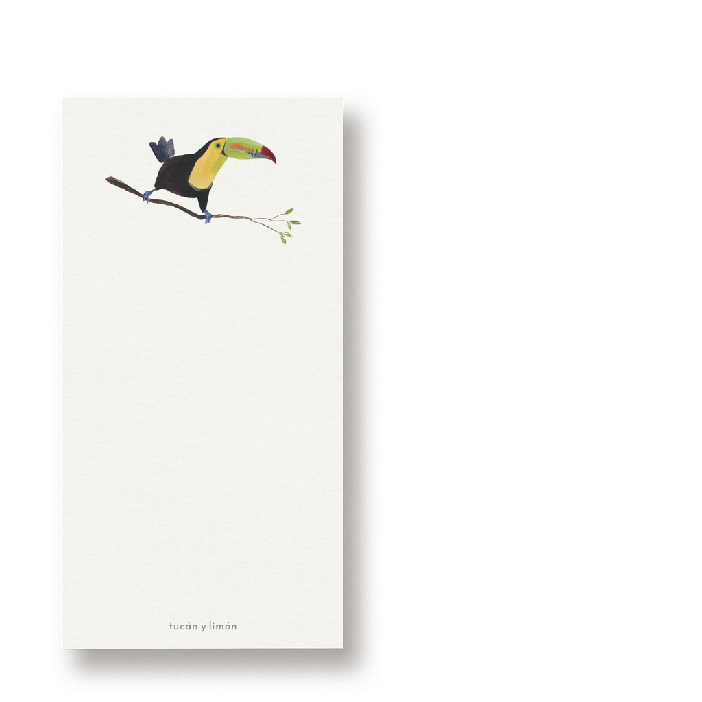 BIRD NOTES - Fischertukan | Notizblock DINA6 schmal