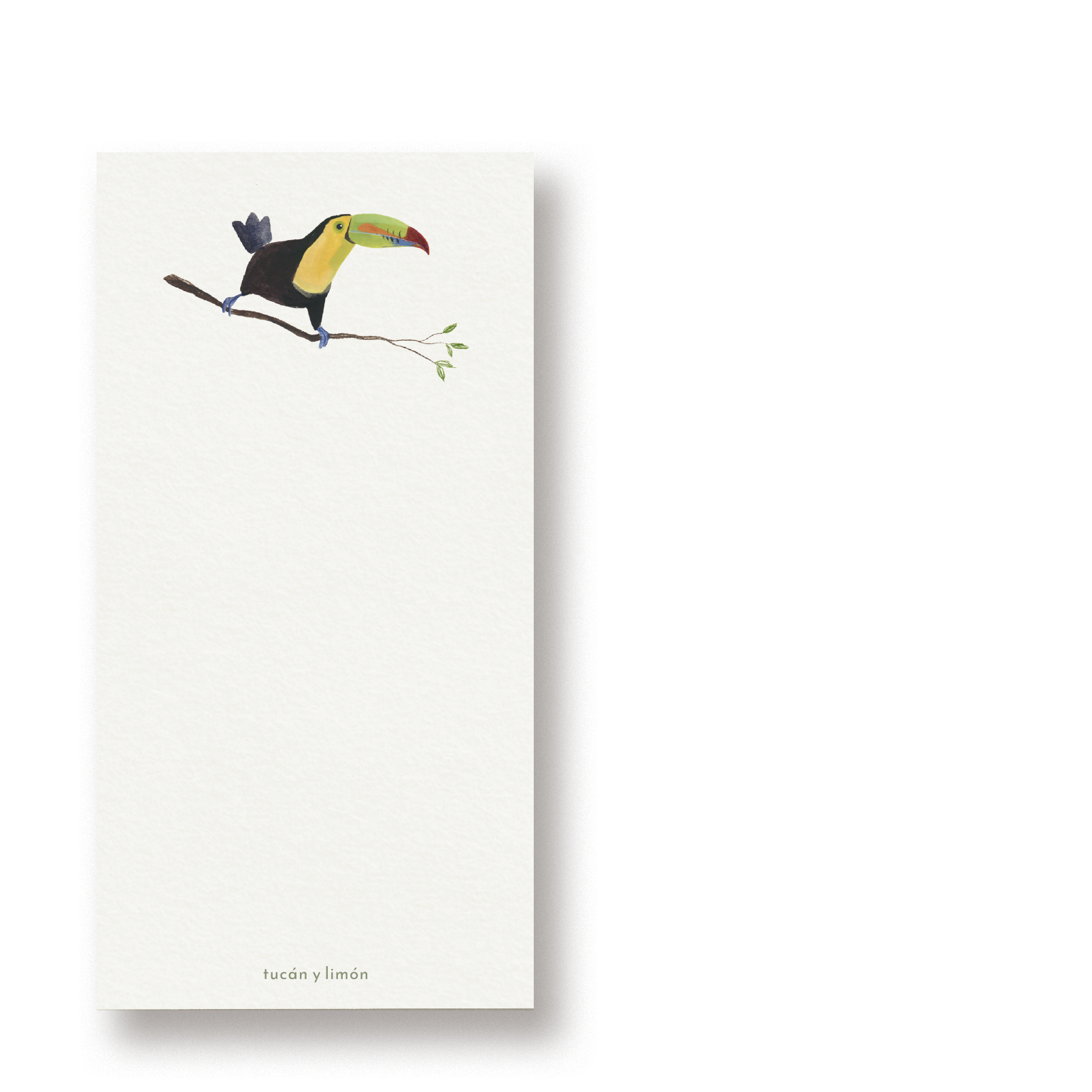 BIRD NOTES - Fischertukan | Notizblock DINA6 schmal