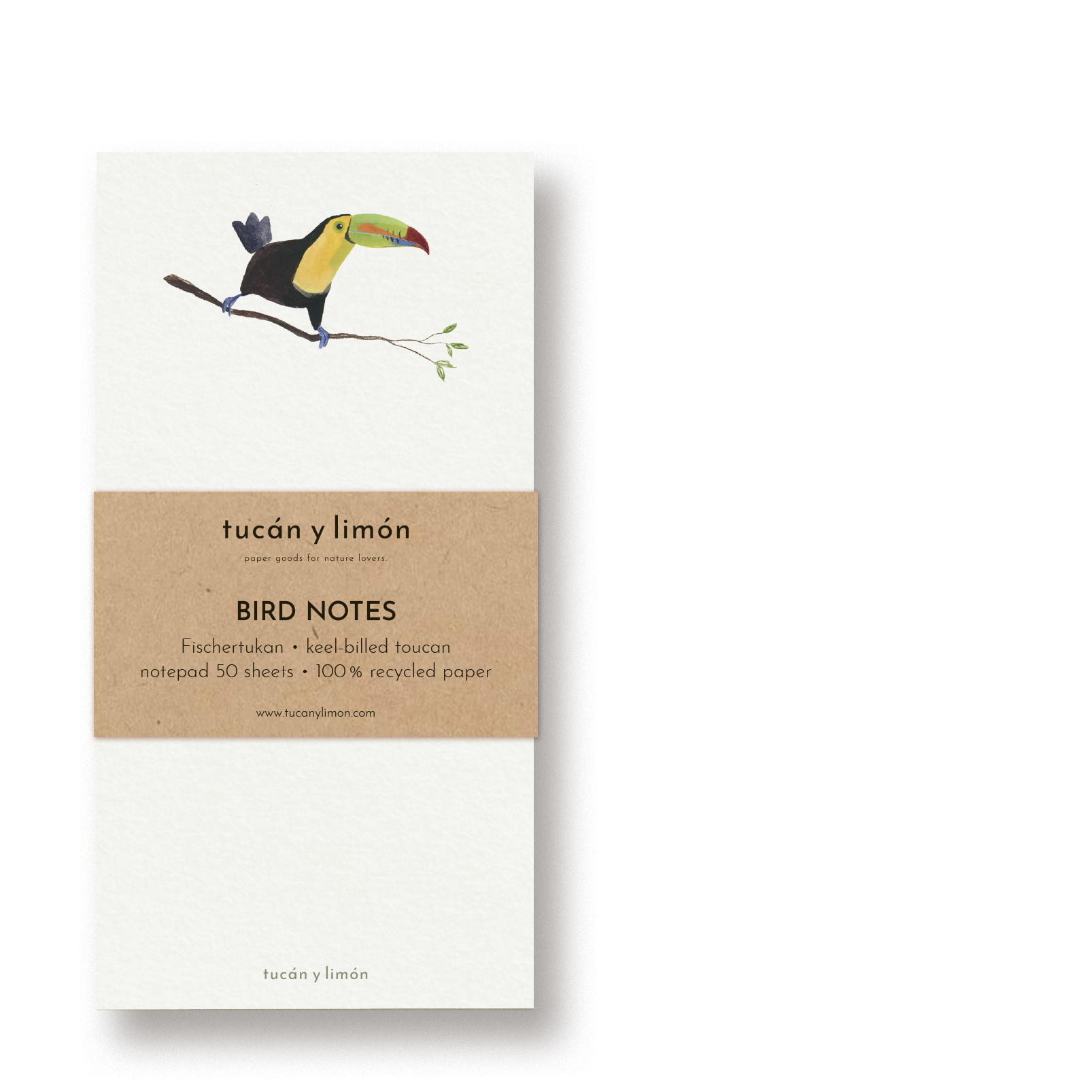 BIRD NOTES - Fischertukan | Notizblock DINA6 schmal