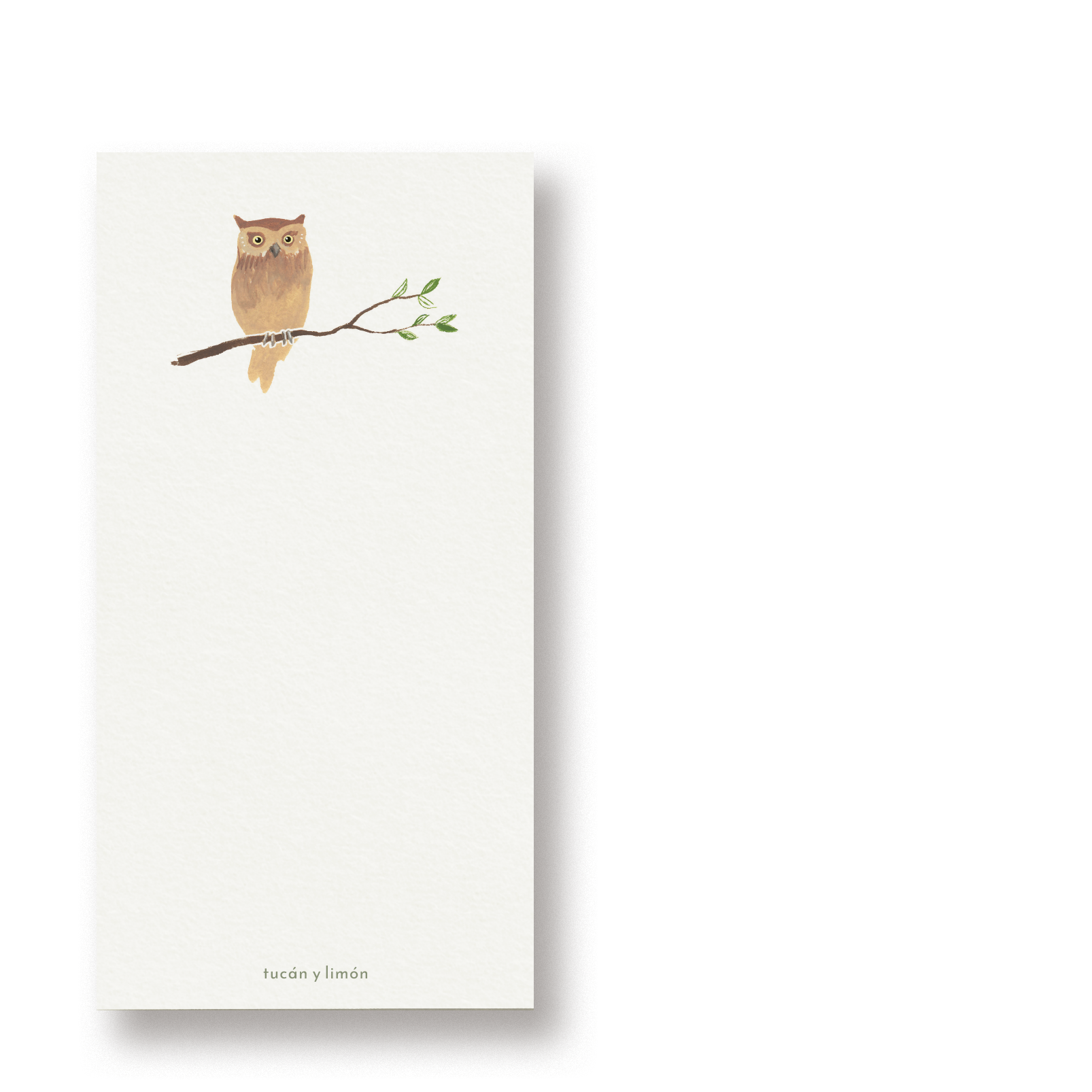 BIRD NOTES - Eule | Notizblock DINA6 schmal