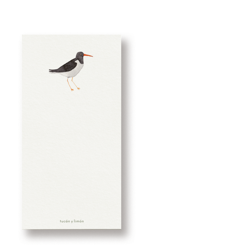 BIRD NOTES - Austernfischer | Notizblock DINA6 schmal