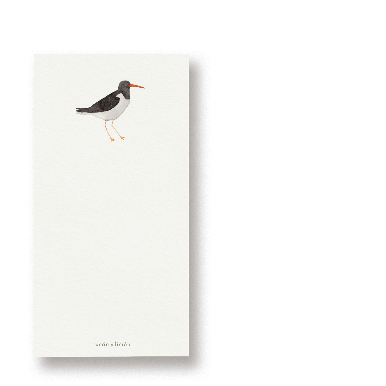 BIRD NOTES - Austernfischer | Notizblock DINA6 schmal