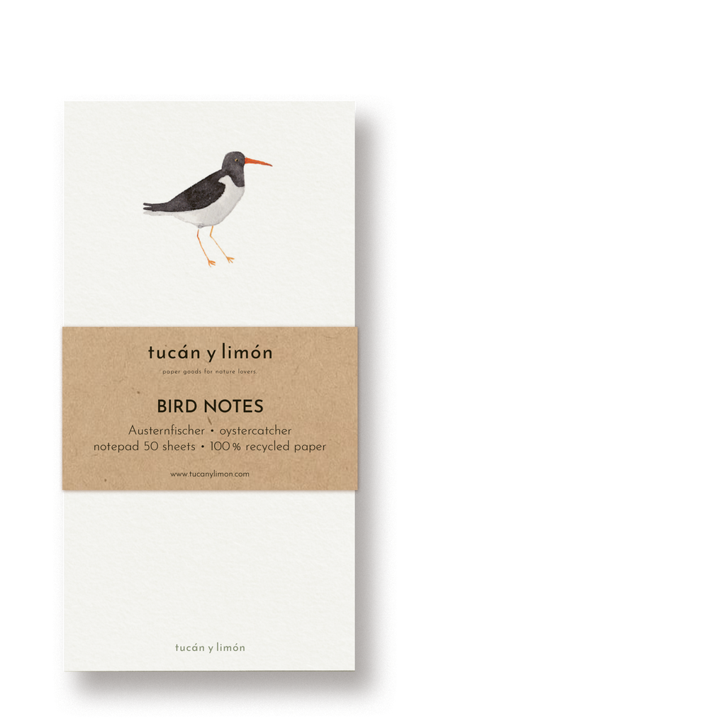 BIRD NOTES - Austernfischer | Notizblock DINA6 schmal