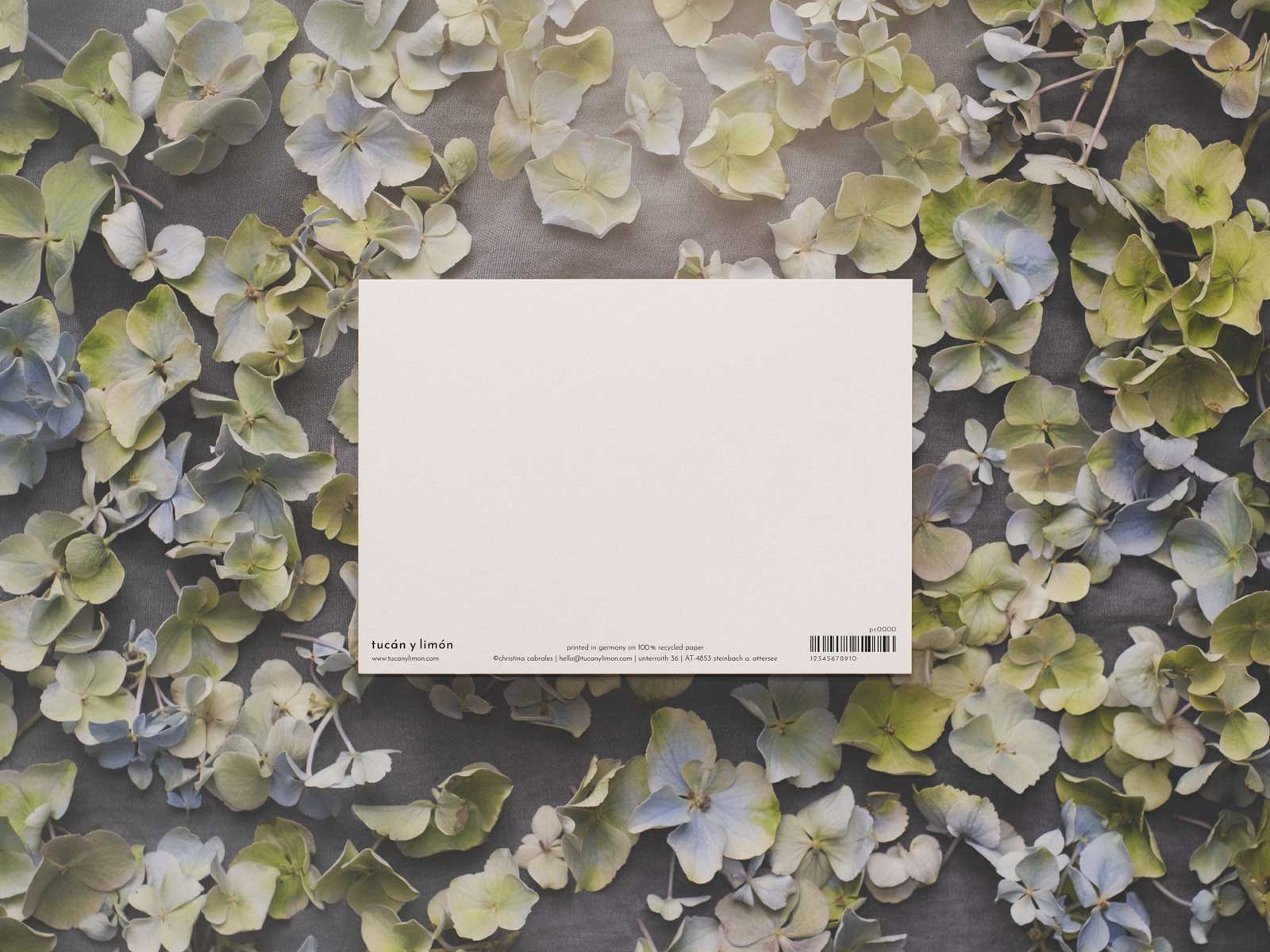 Elephant Celebration | Postkarte
