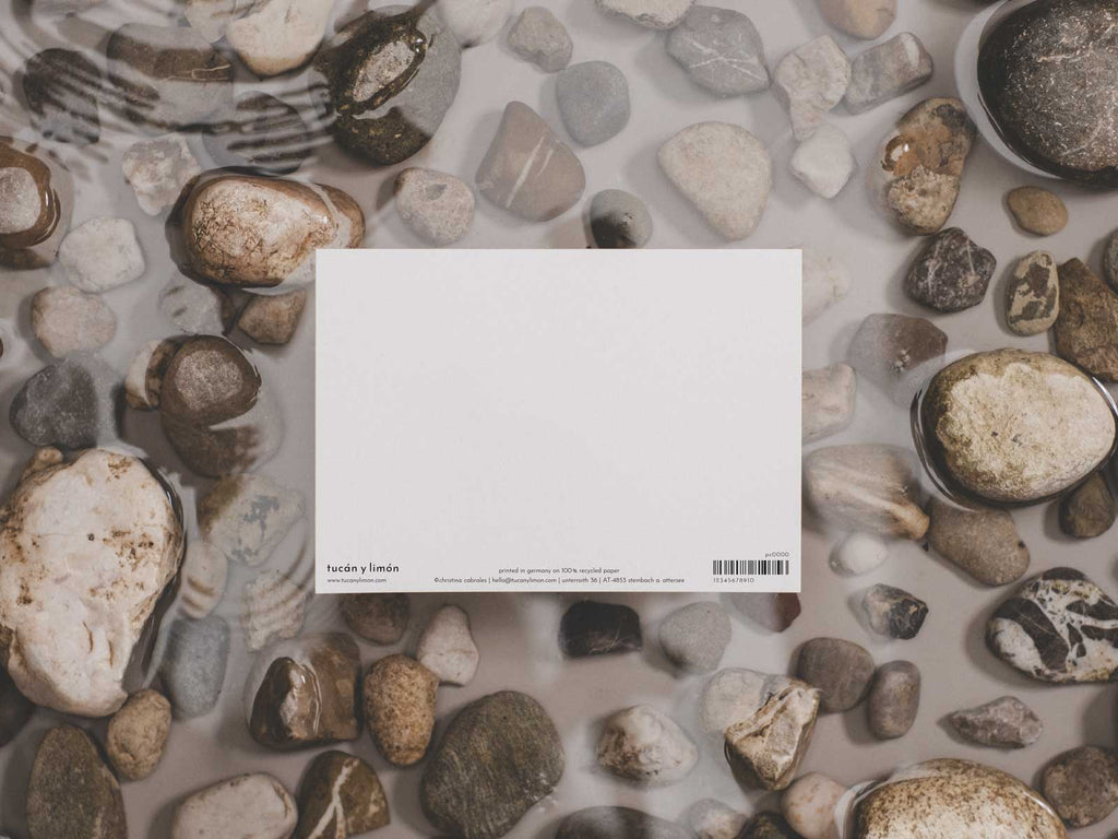 Buckelwal | Postkarte