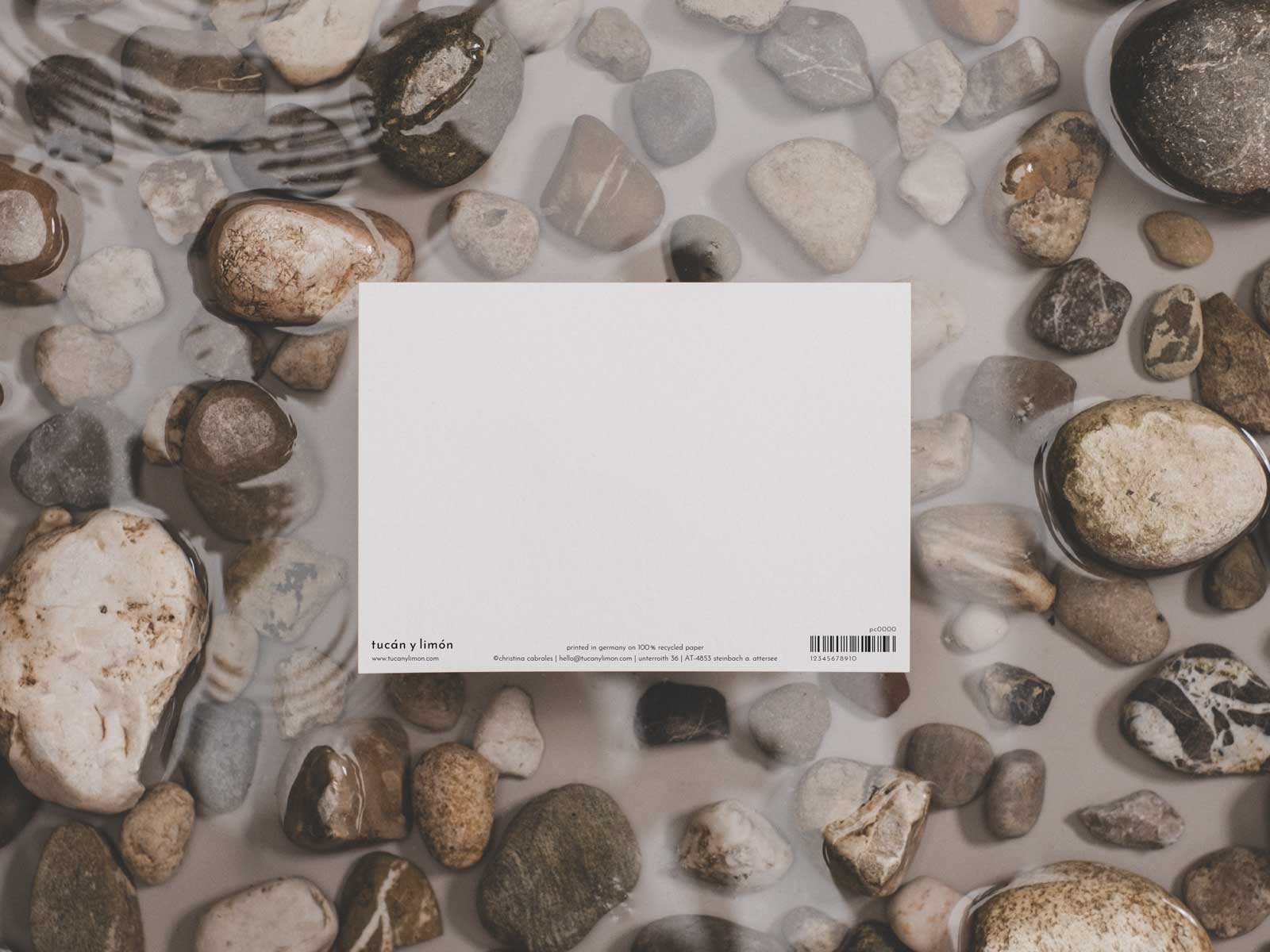 Buckelwal | Postkarte