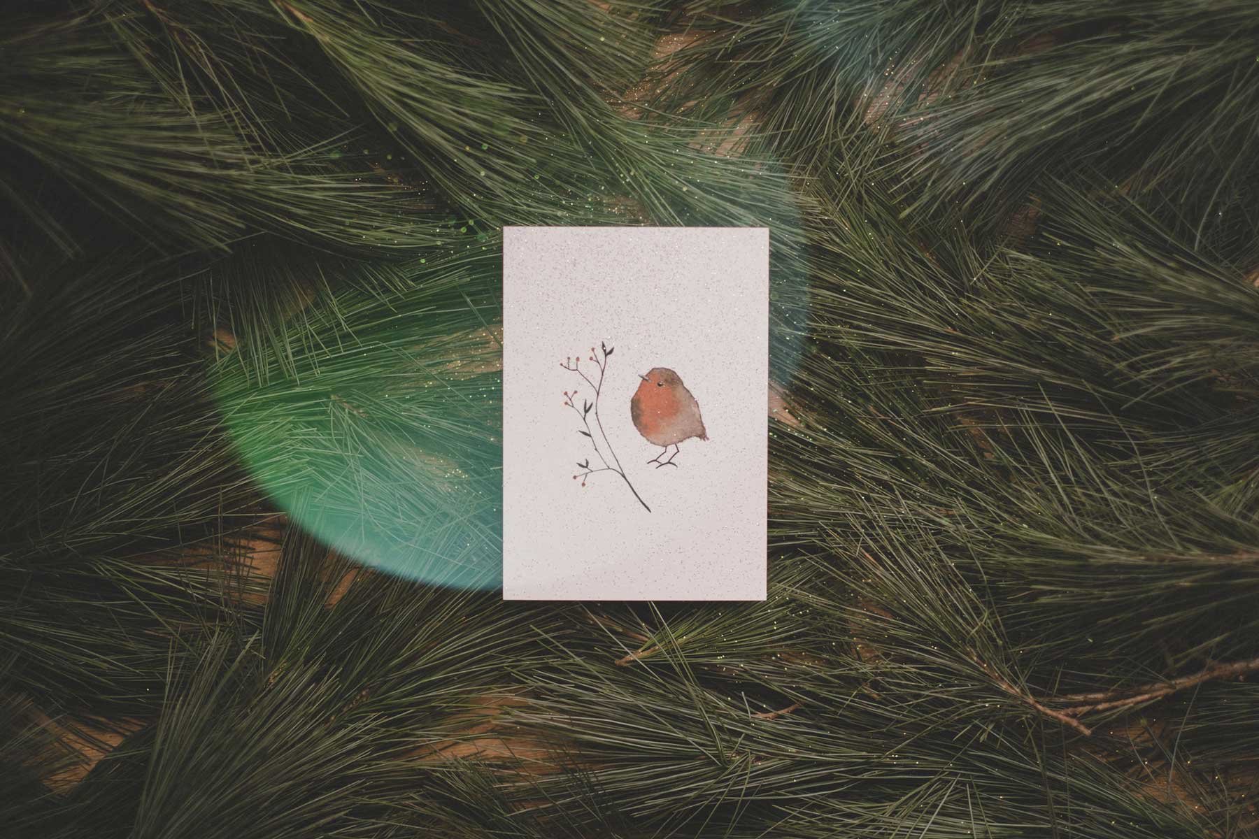 Rotkehlchen mit Zweig | Postkarte