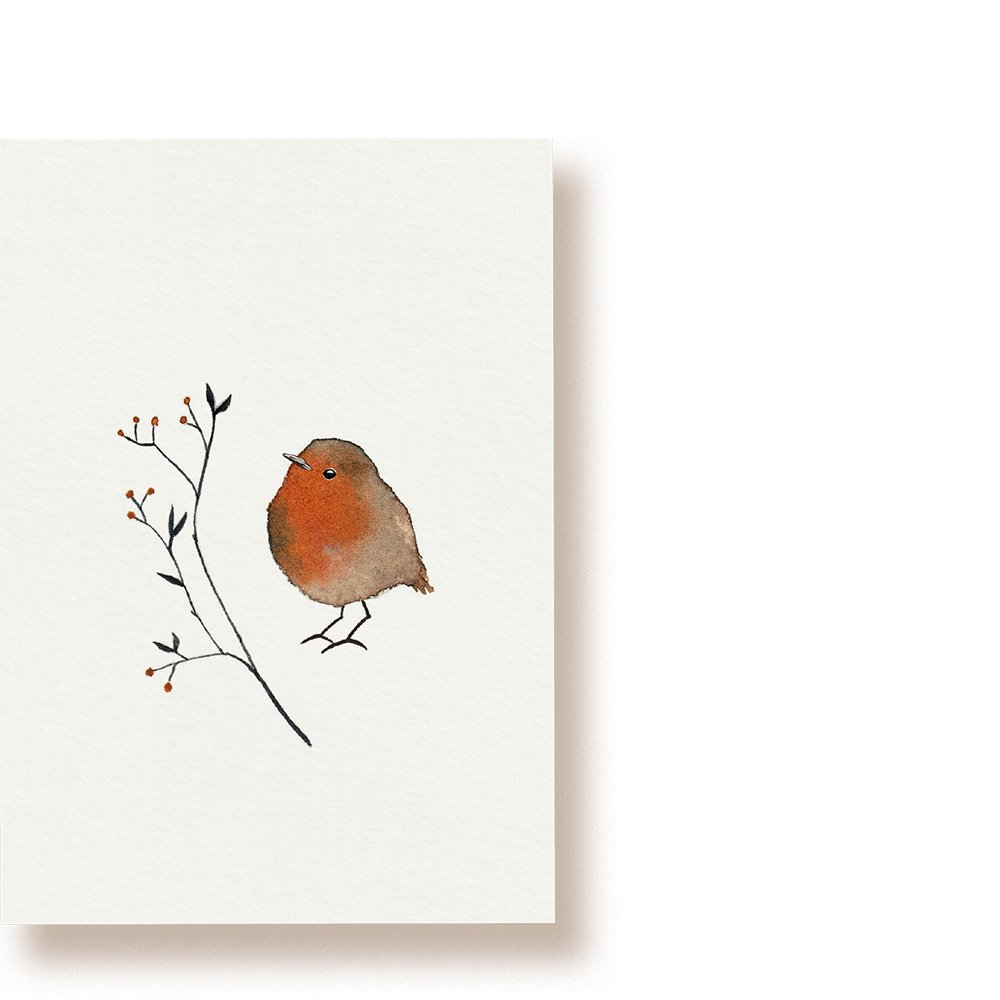 Rotkehlchen mit Zweig | Postkarte