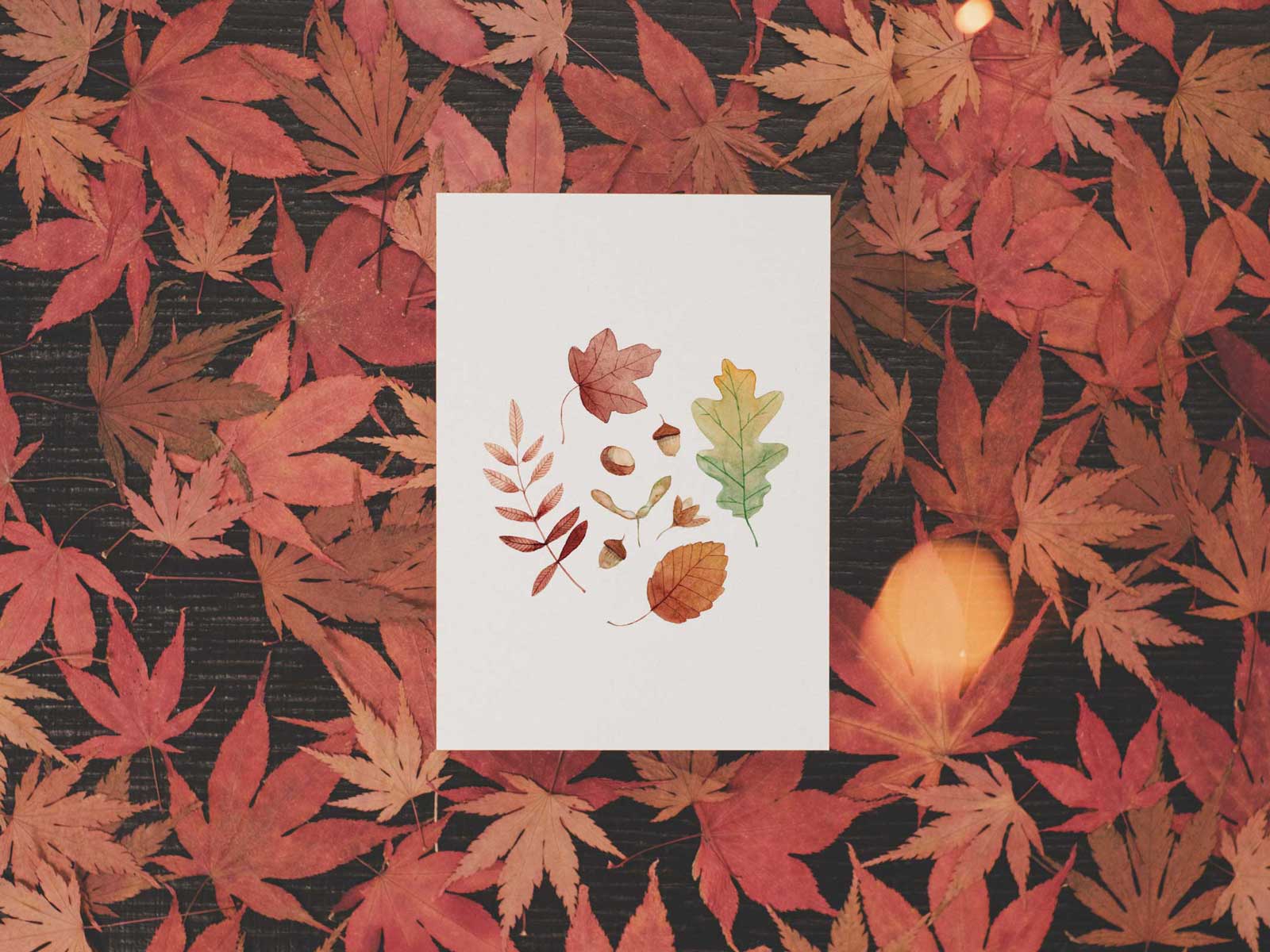 Hello Autumn | Postkarte