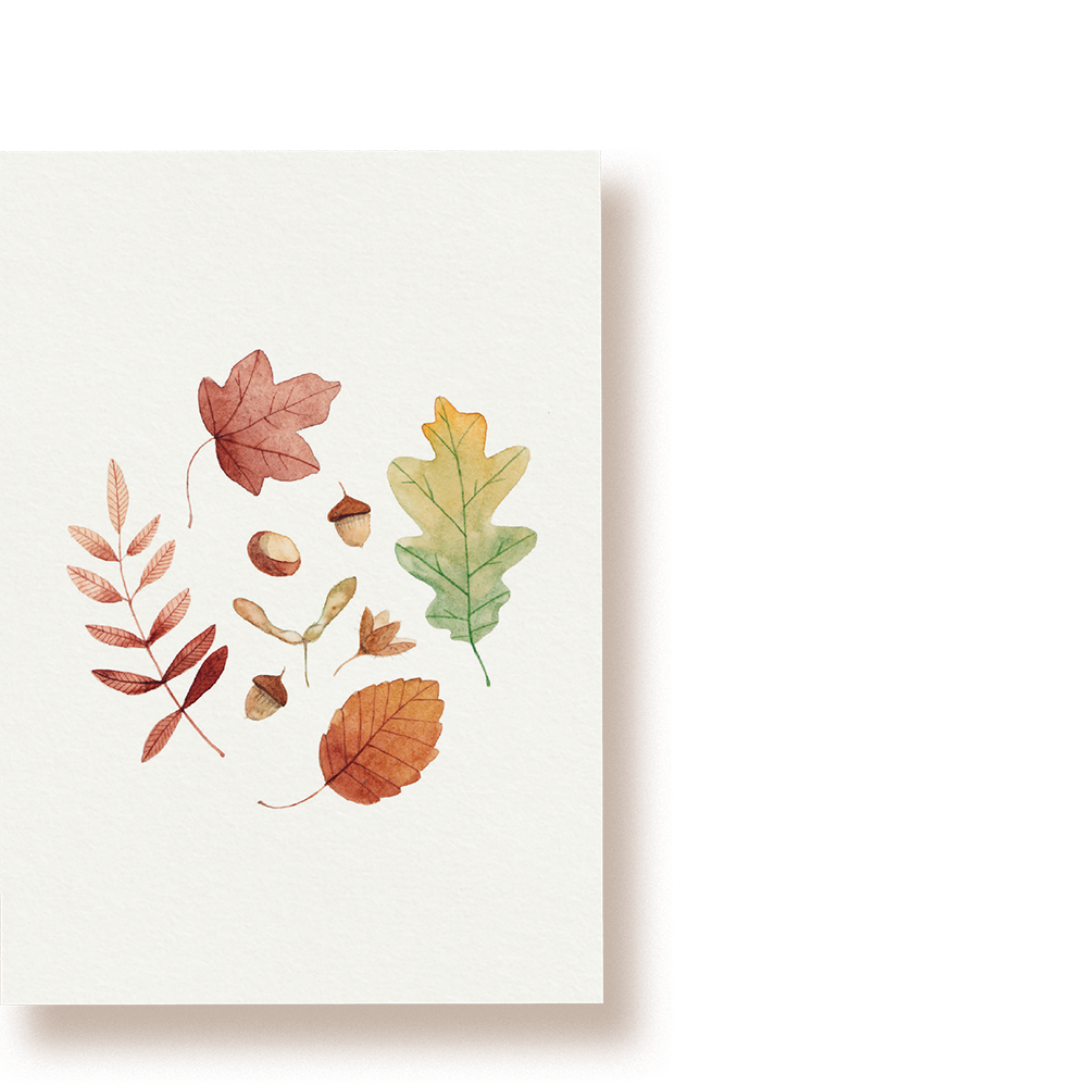 Hello Autumn | Postkarte