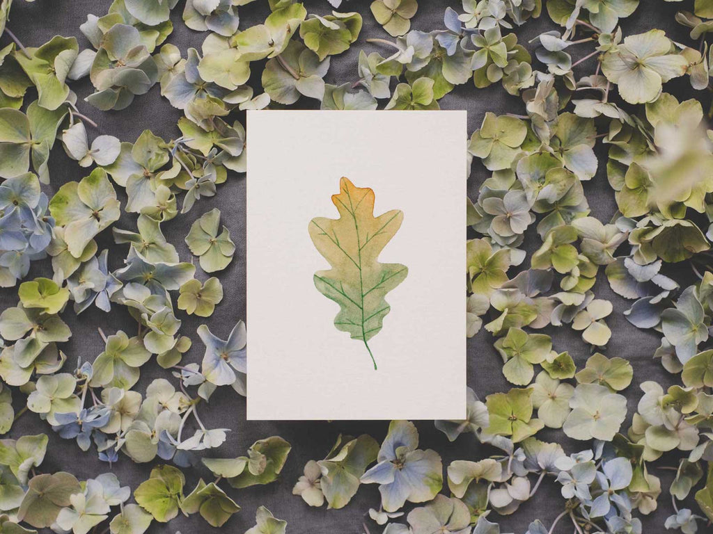 Eichenblatt | Postkarte