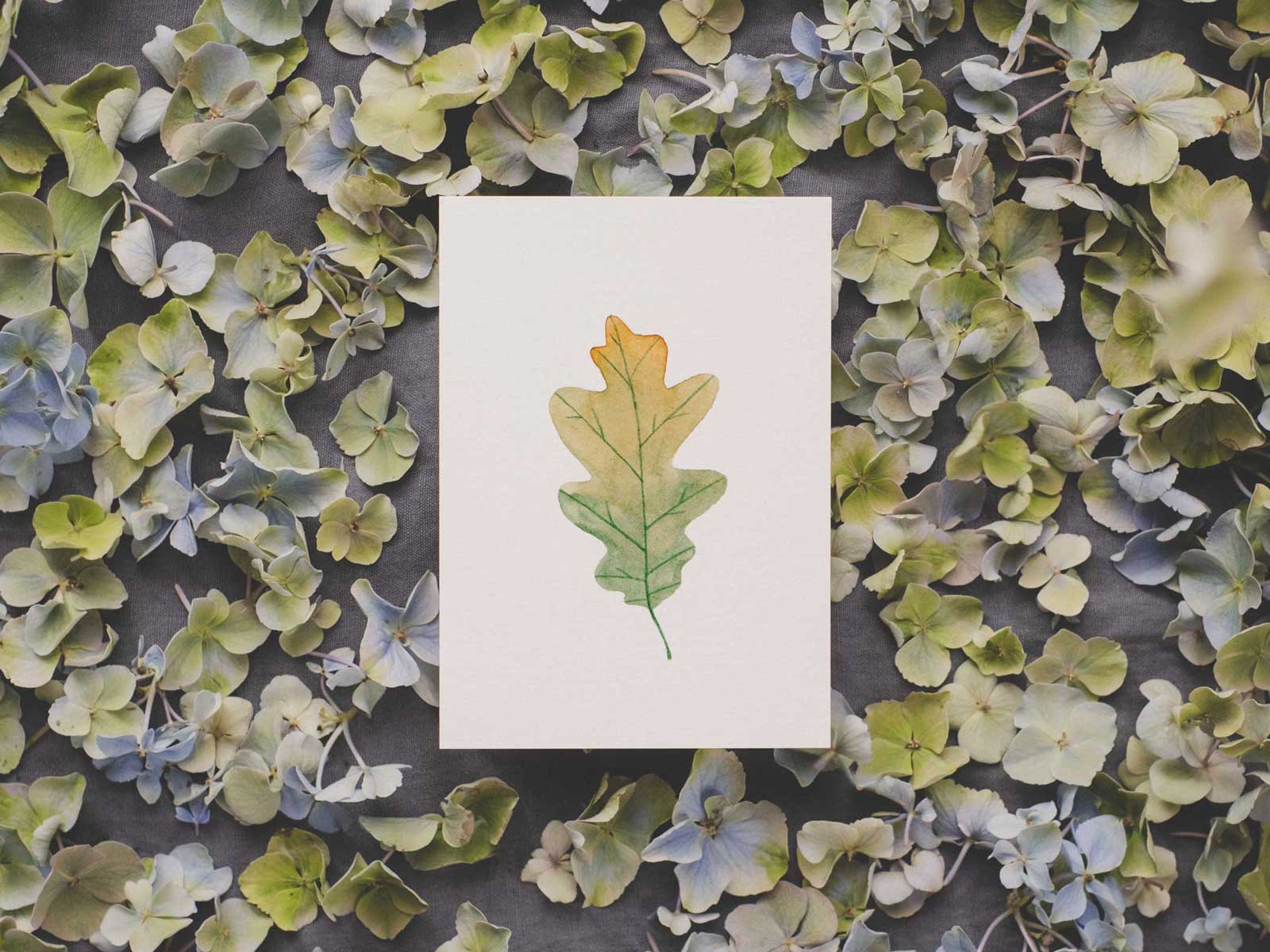 Eichenblatt | Postkarte
