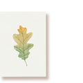 Eichenblatt | Postkarte
