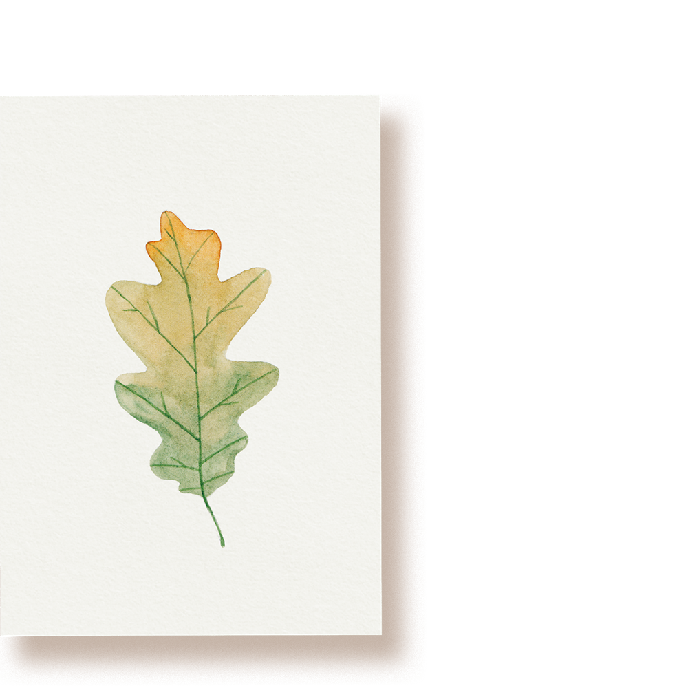 Eichenblatt | Postkarte