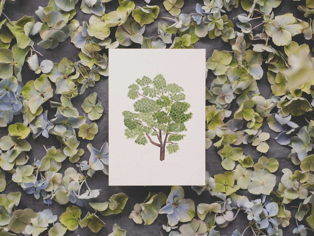 Kastanie | Postkarte
