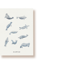 Robben | Oh Happy Day | Postkarte