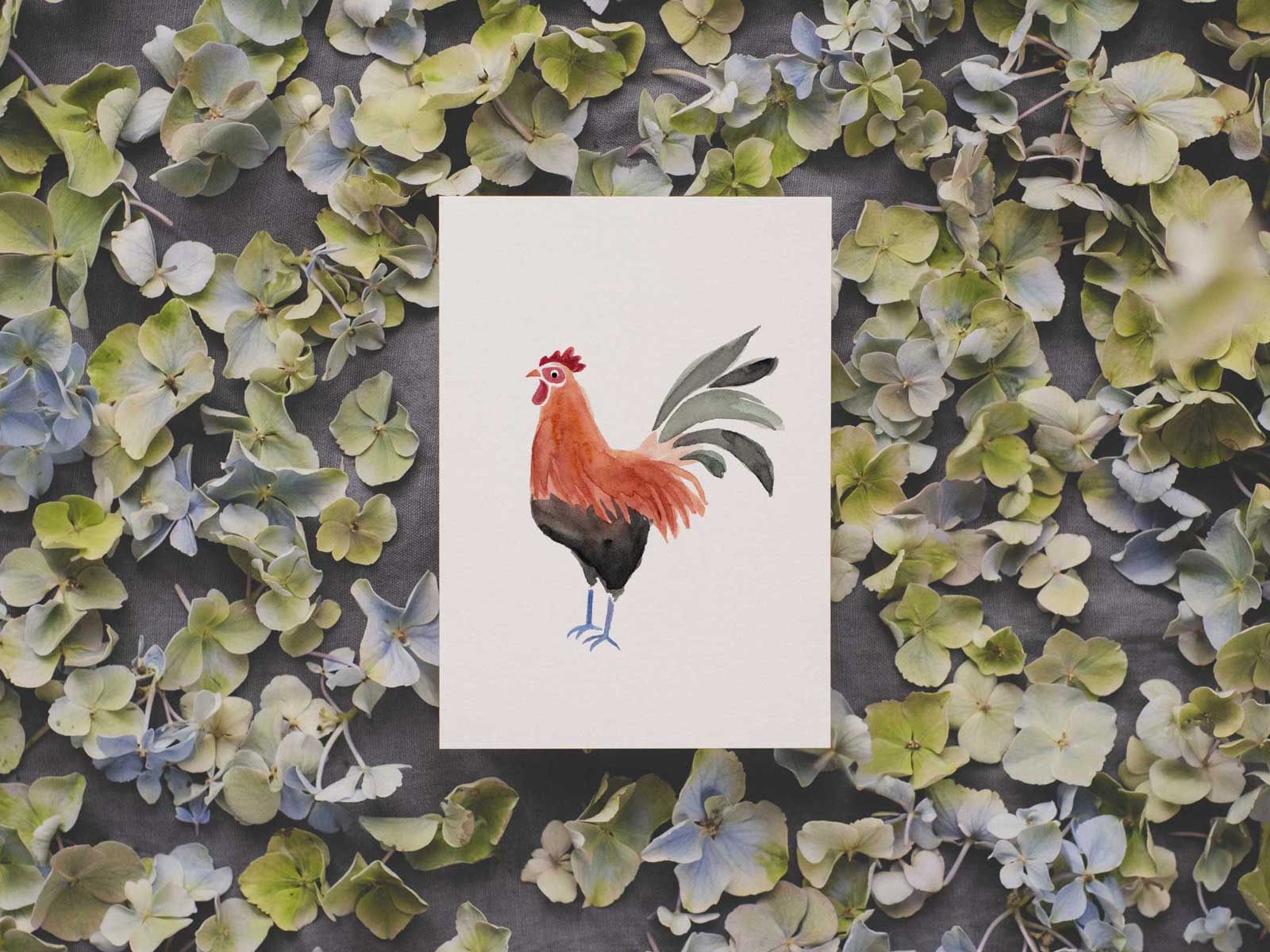 Henri Hahn | Postkarte