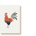 Henri Hahn | Postkarte