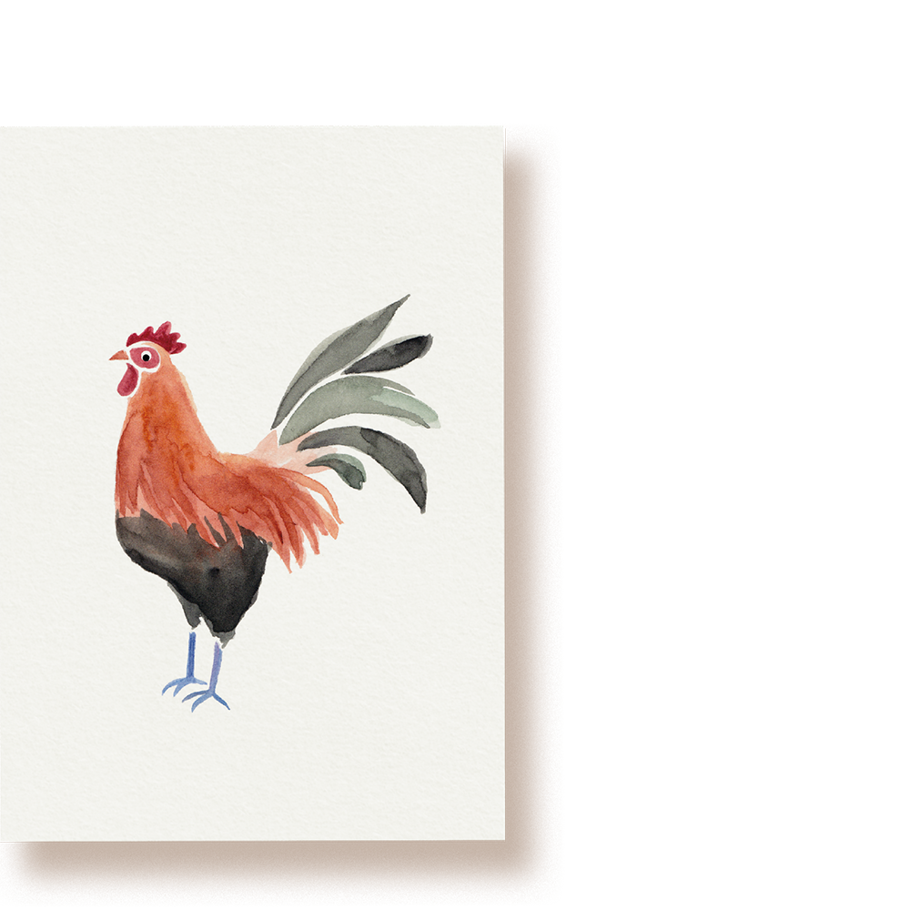 Henri Hahn | Postkarte