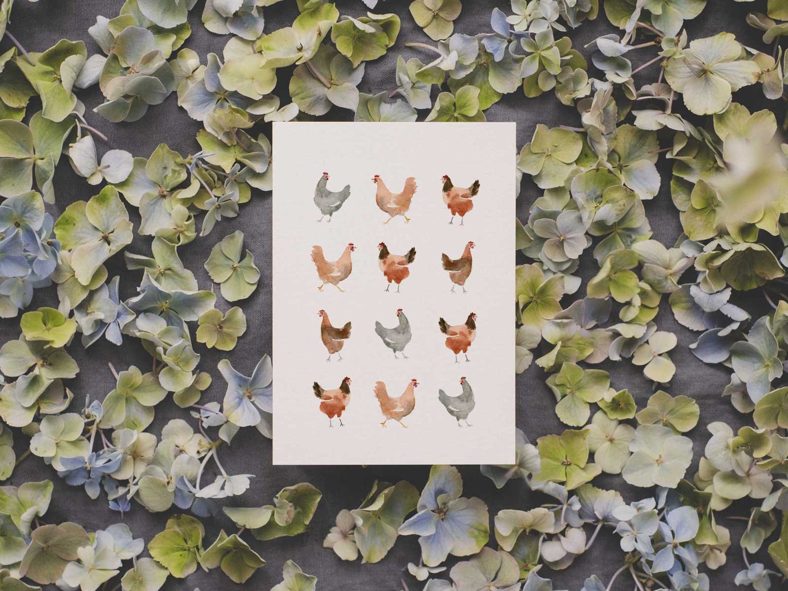Ein Dutzend Hennen | Hühner Postkarte