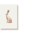 Hase | Postkarte