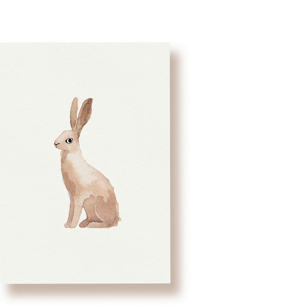 Hase | Postkarte