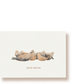 Seehunde - better together | Postkarte