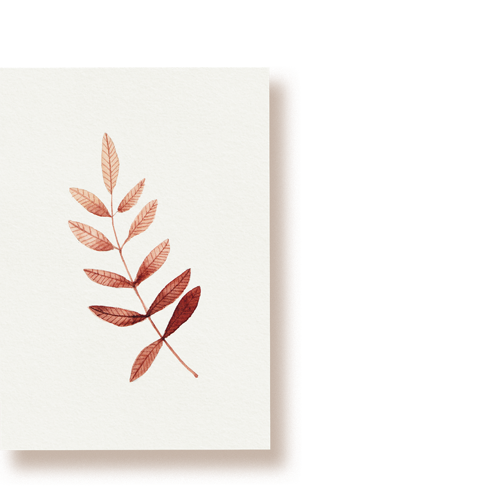 Eschenblatt | Postkarte