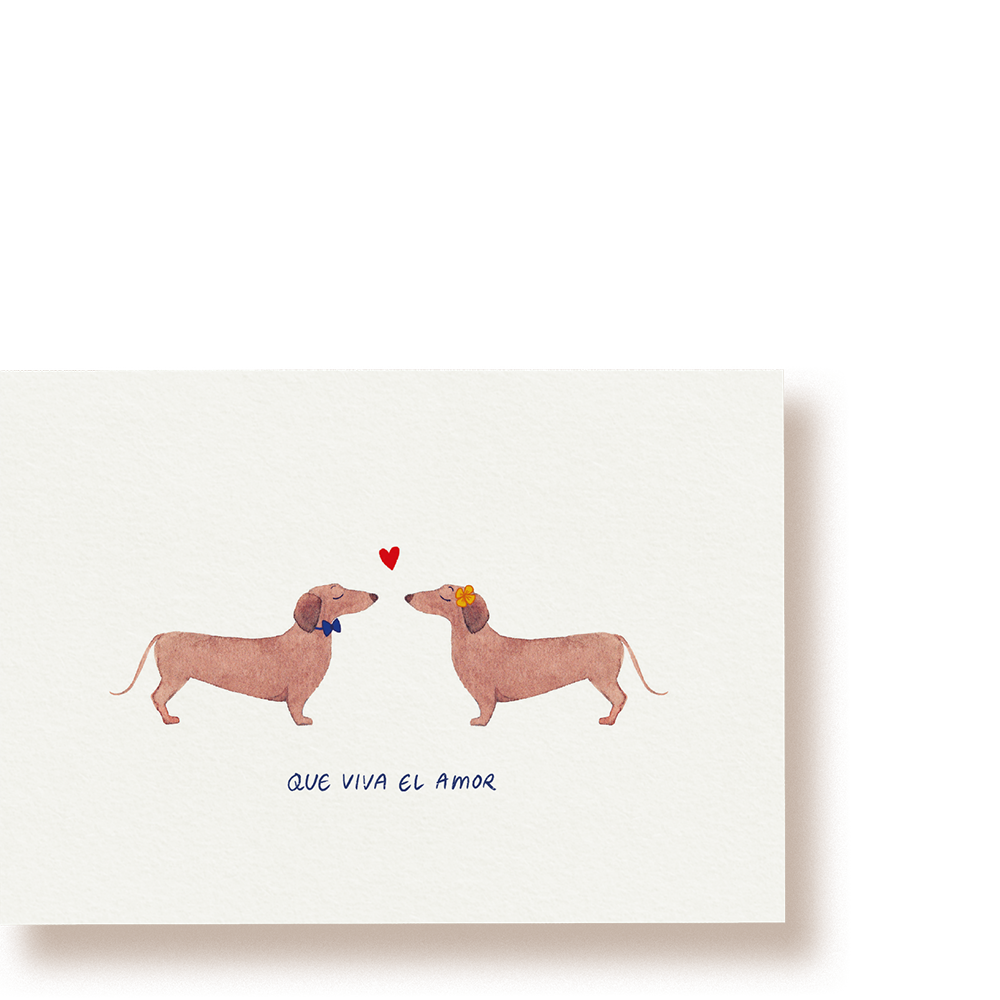 feel the love | Postkarte