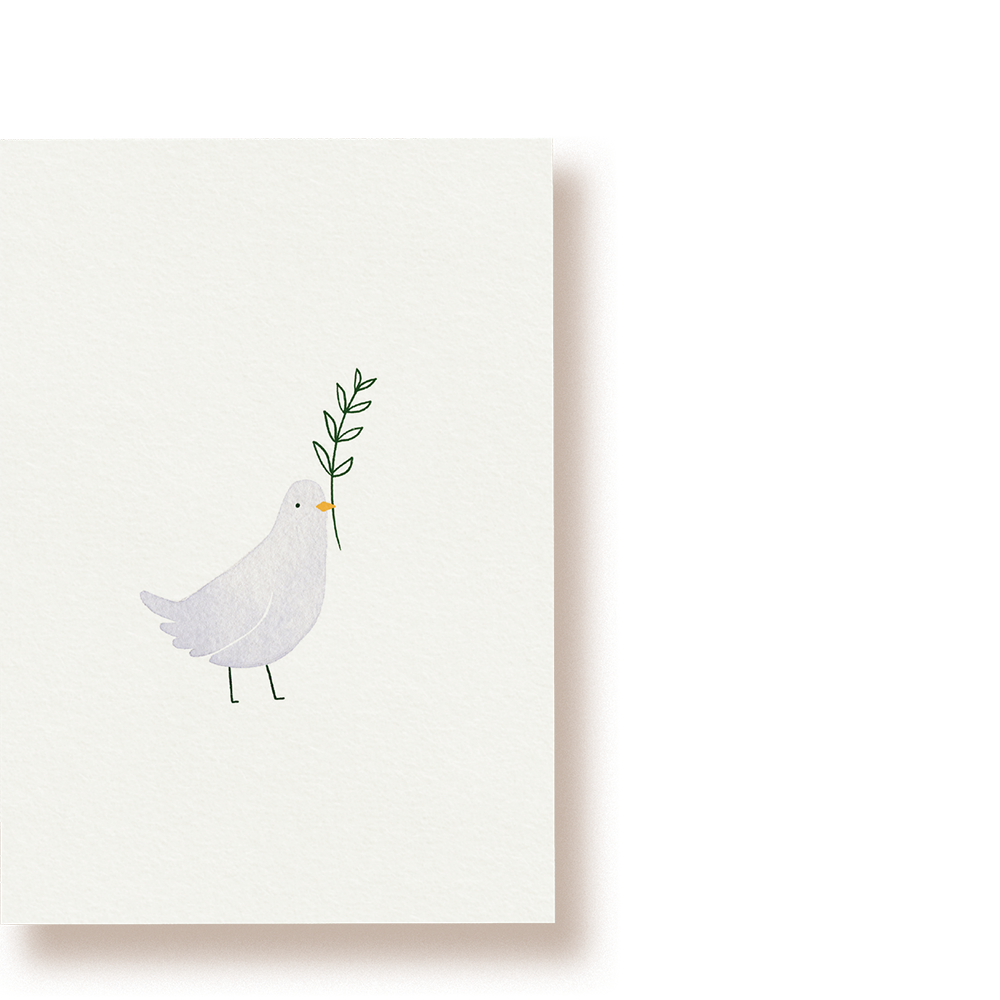 Taube | Postkarte