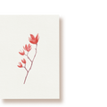 Magnolie | Postkarte