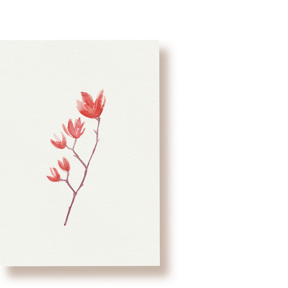 Magnolie | Postkarte