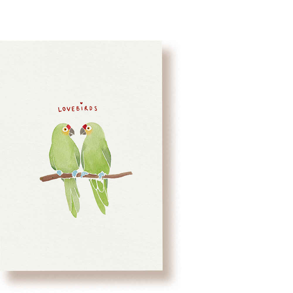 Lovebirds | Postkarte