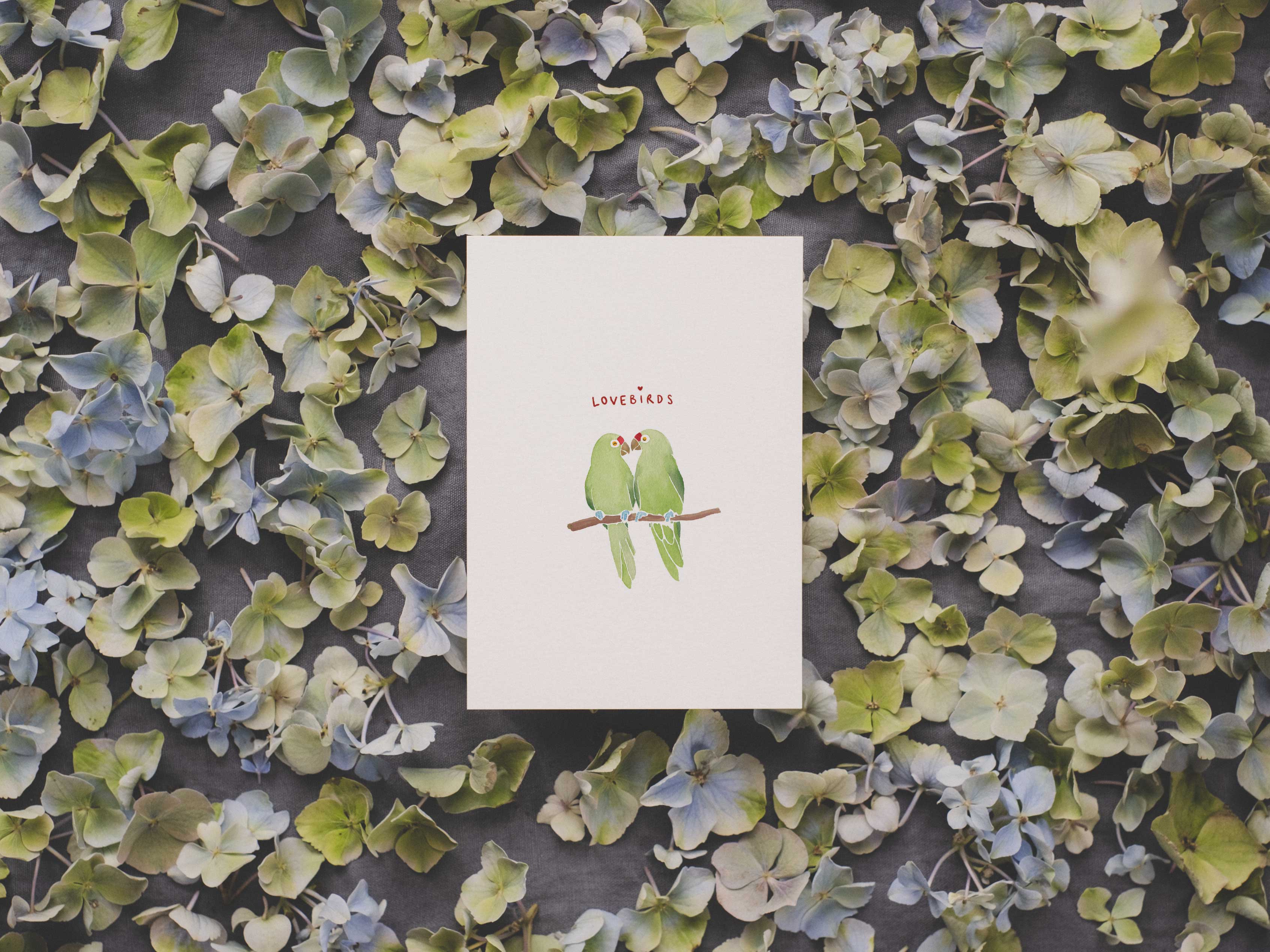 Lovebirds | Postkarte
