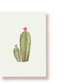 Kaktus | Postkarte