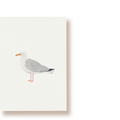 Silbermöwe | Postkarte