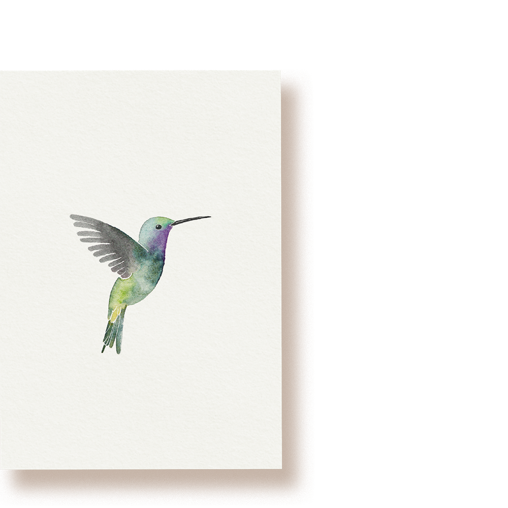 Kolibri | Postkarte