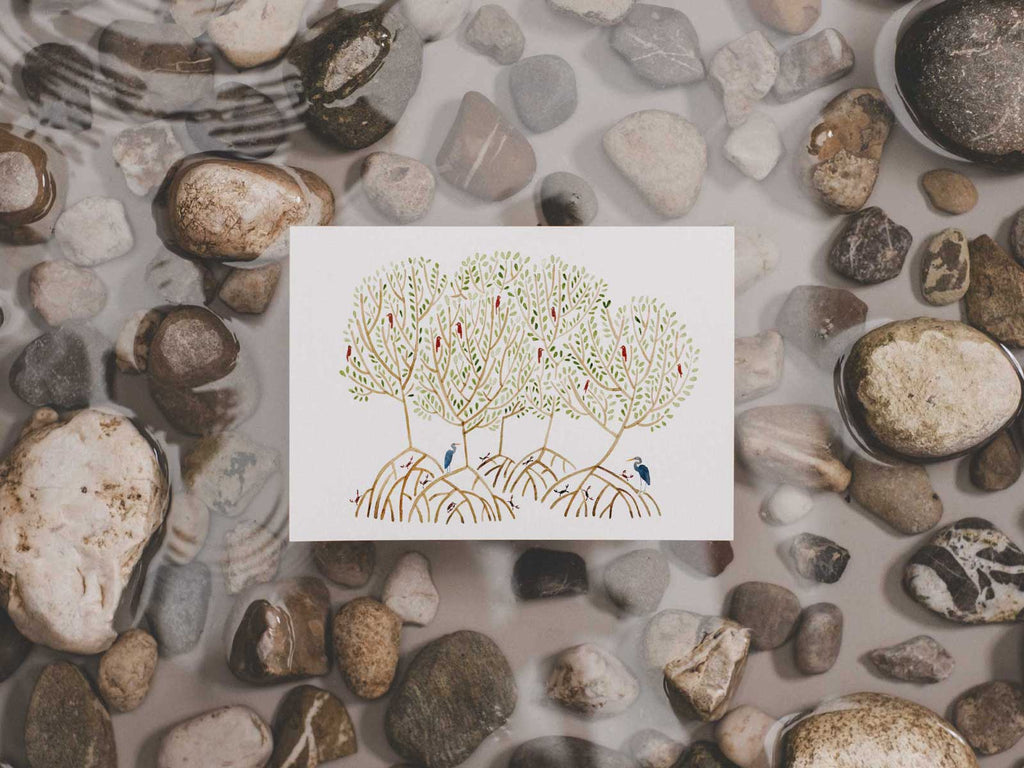 Mangrove | Postkarte